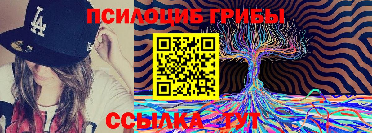 Псилоцибиновые грибы Psilocybe Геленджик