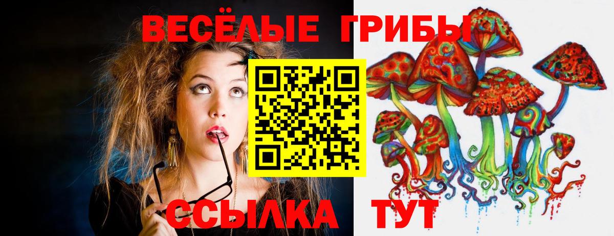 Псилоцибиновые грибы Cubensis  Вход с VPN  Геленджик 